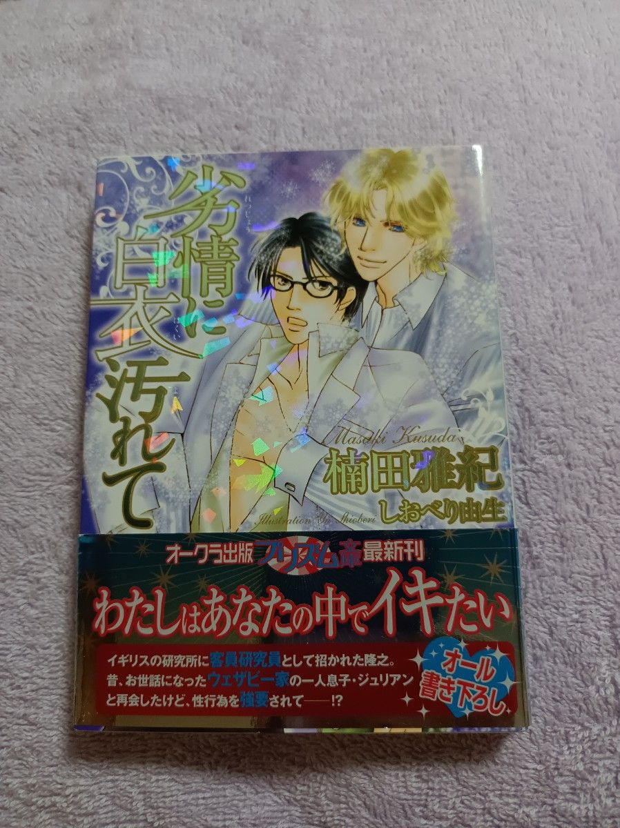 BL小説３冊セット【文庫本】　漆黒の騎士を従えて　他‥‥