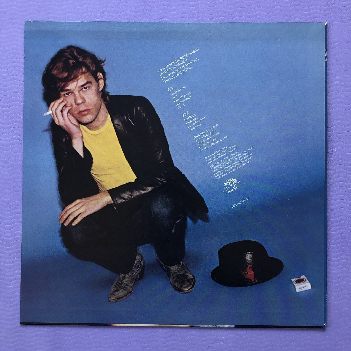 傷なし美盤 レア盤 デヴィッド・ヨハンセン David Johansen 1978年 LPレコード ニュー・ヨーク・ロックン・ローラー 国内盤 New York Dolls_画像2