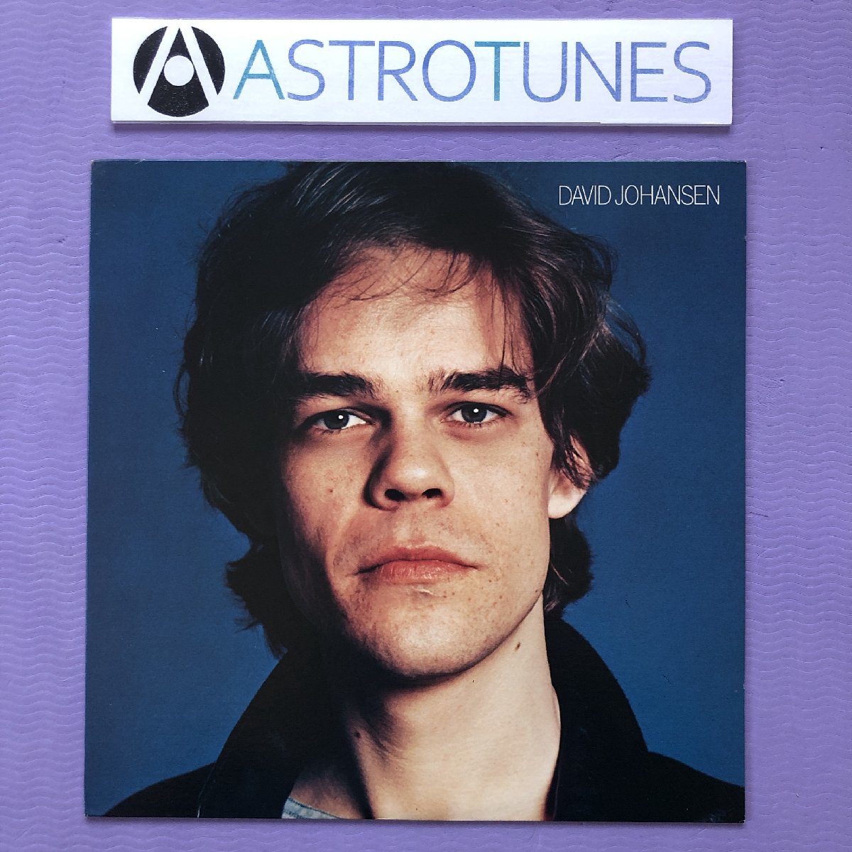 傷なし美盤 レア盤 デヴィッド・ヨハンセン David Johansen 1978年 LPレコード ニュー・ヨーク・ロックン・ローラー 国内盤 New York Dolls_画像1