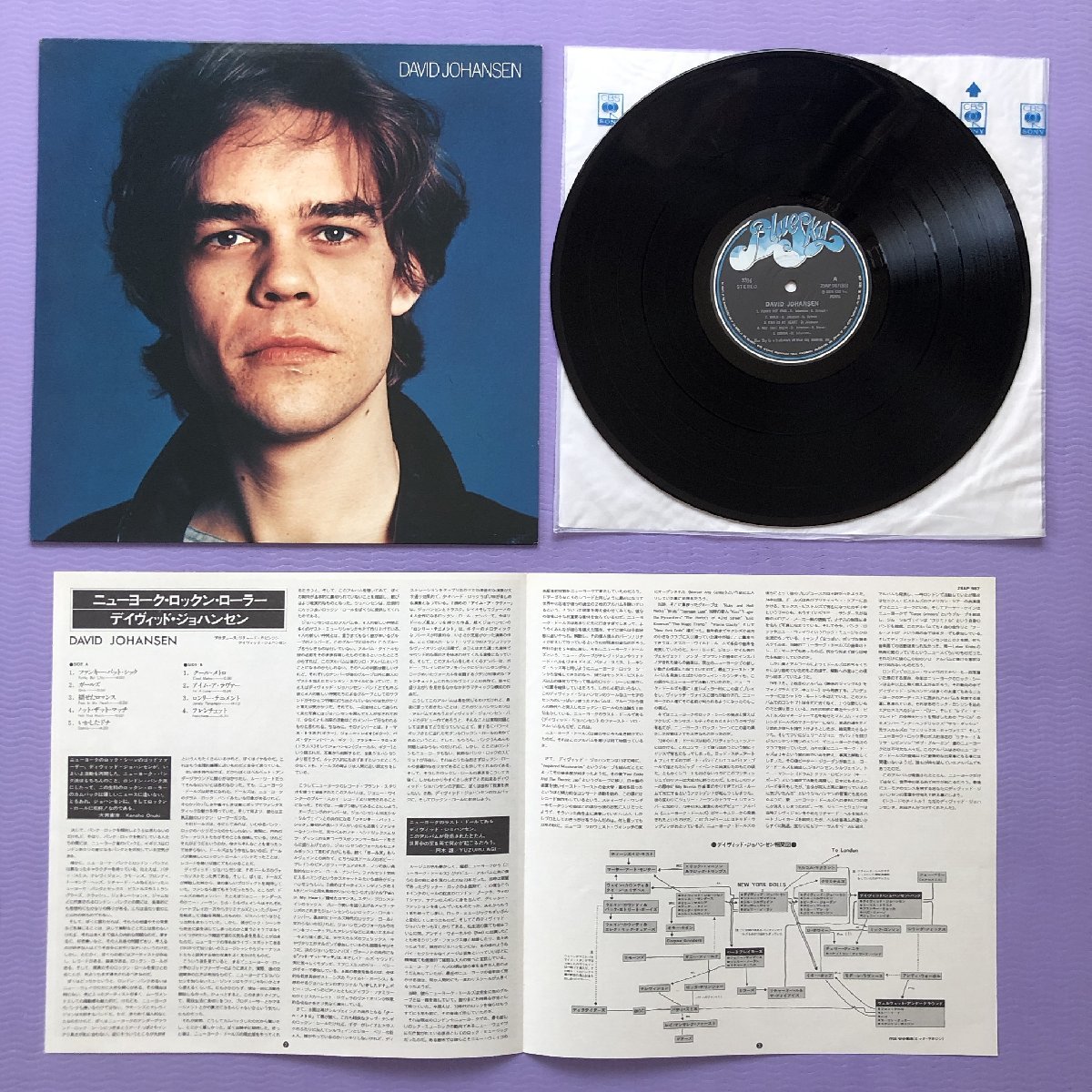 傷なし美盤 レア盤 デヴィッド・ヨハンセン David Johansen 1978年 LPレコード ニュー・ヨーク・ロックン・ローラー 国内盤 New York Dolls_画像5