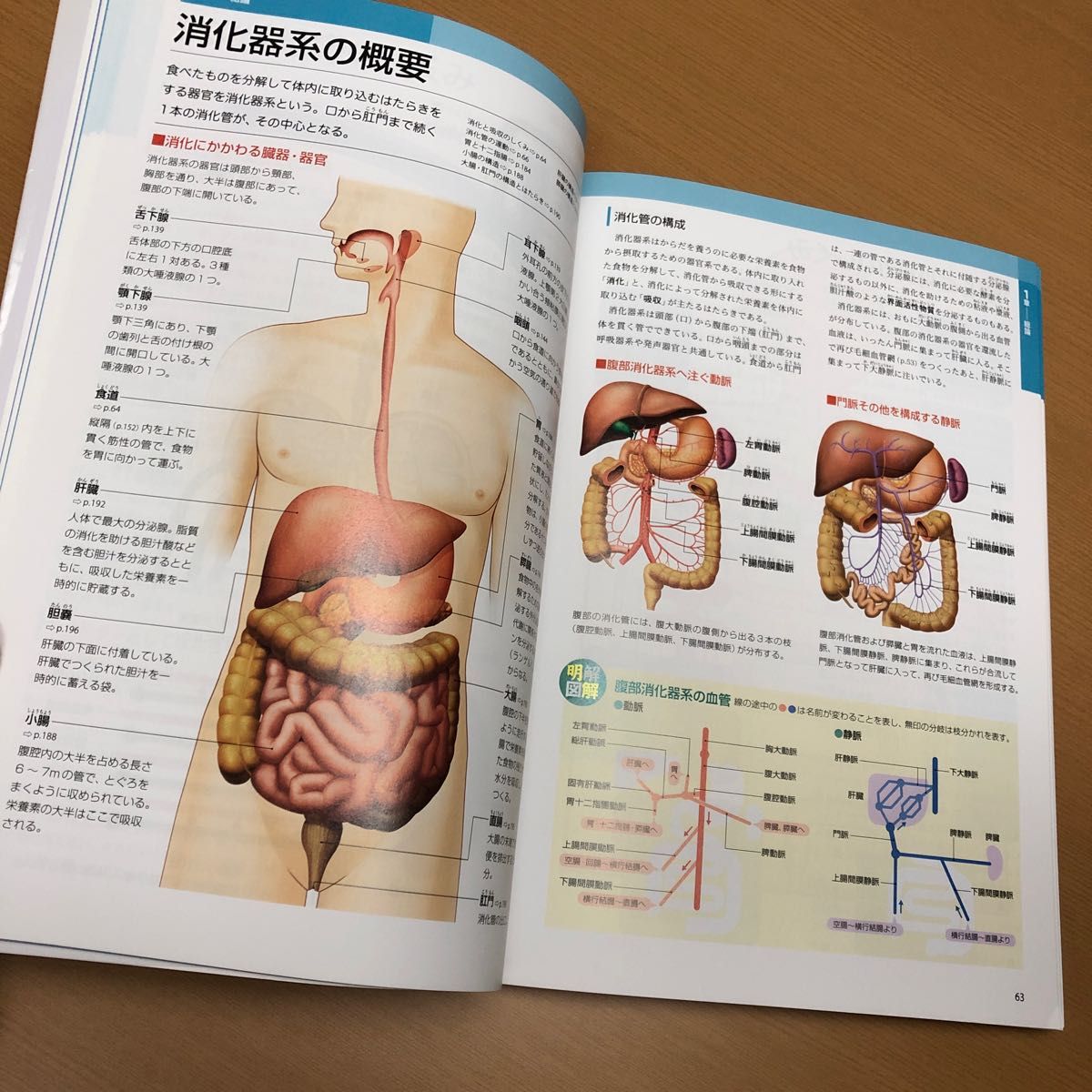 ぜんぶわかる 人体解剖図|Yahoo!フリマ(旧PayPayフリマ) ぜんぶわかる 人体解剖図|Yahoo!フリマ(旧PayPayフリマ)