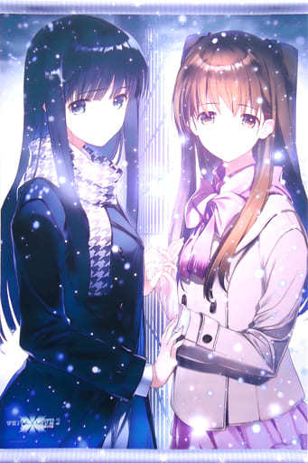 WHITE ALBUM2 小木曽雪菜 ＆ 冬馬かずさ Wスエード タペストリー /AQUAPLUS/とらのあな/WA2/ホワイトアルバム２/ホワルバ２_画像1