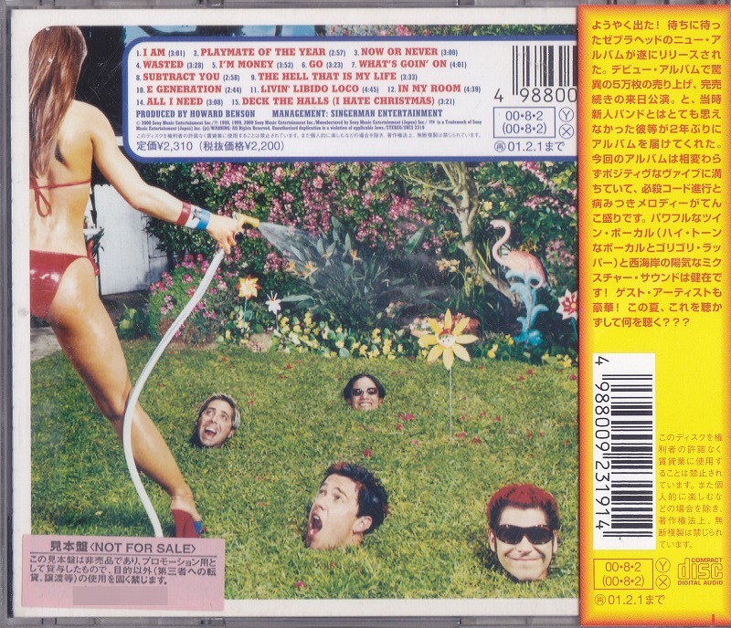 ゼブラヘッド / ZEBRAHEAD / プレイメイト・オブ・ザ・イヤー /中古CD！62942_画像2