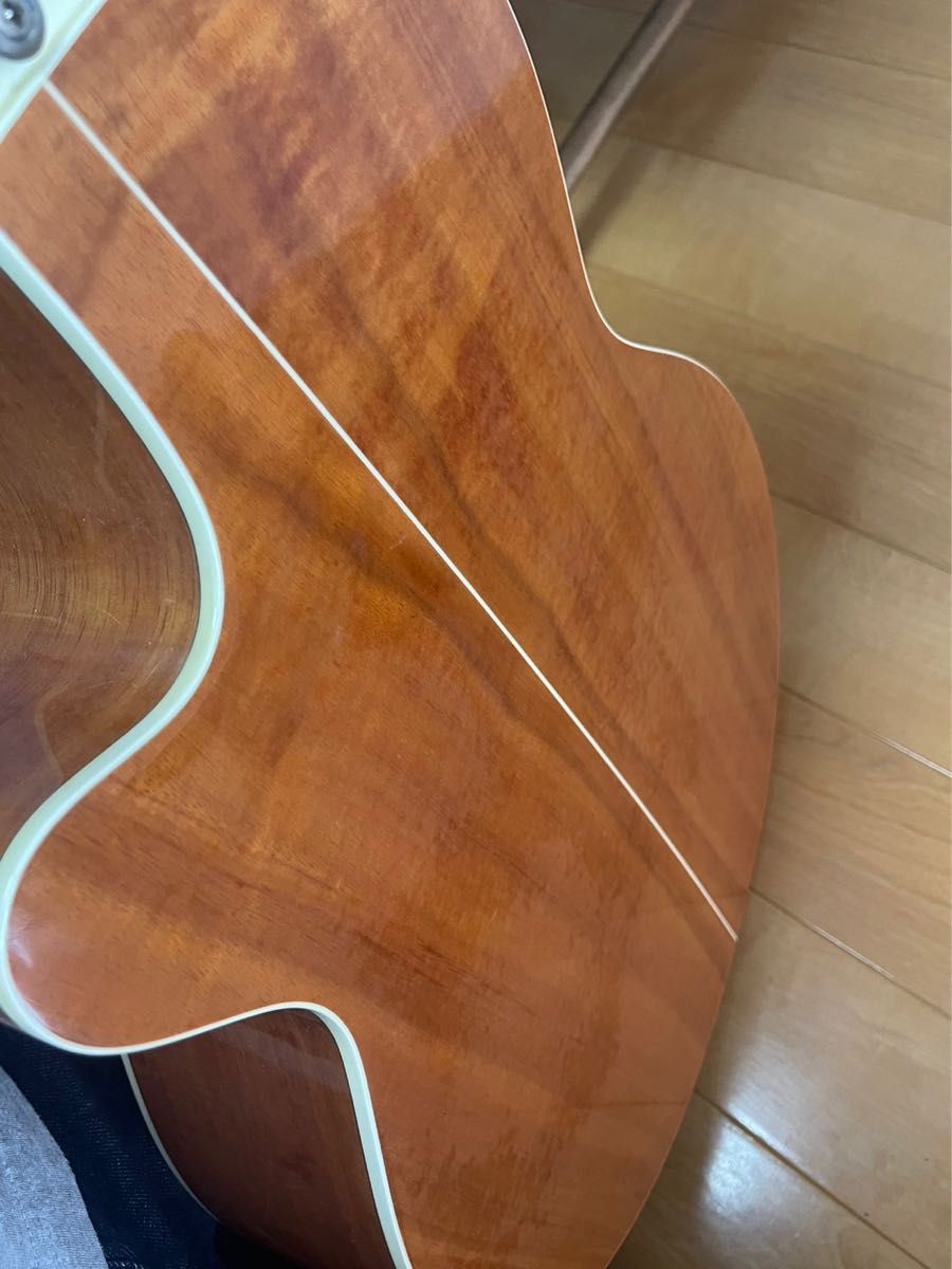 エレアコ TAKAMINE PTU-108K N | noonanwaste.com