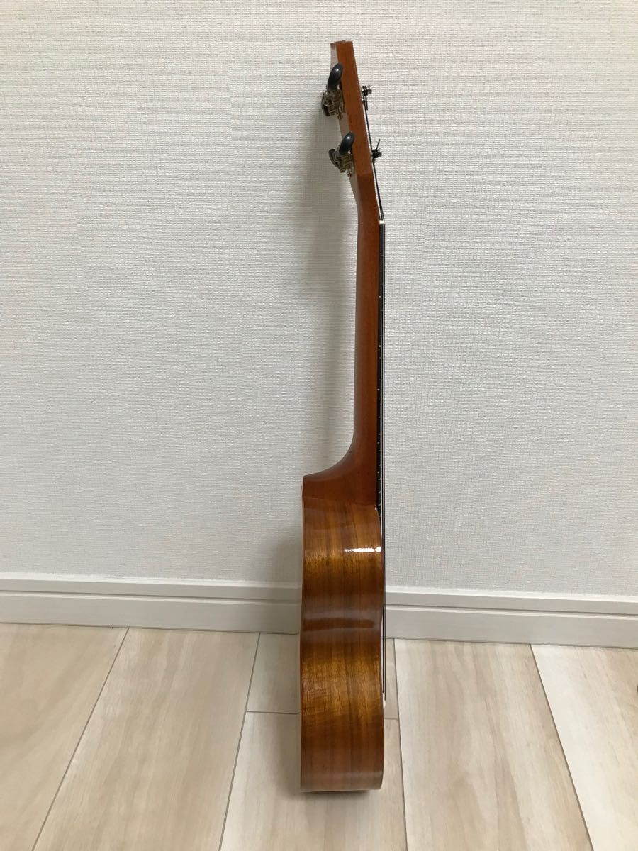 Famous FLSー2G ソプラノロングネック | clinicaversalles.com.pe