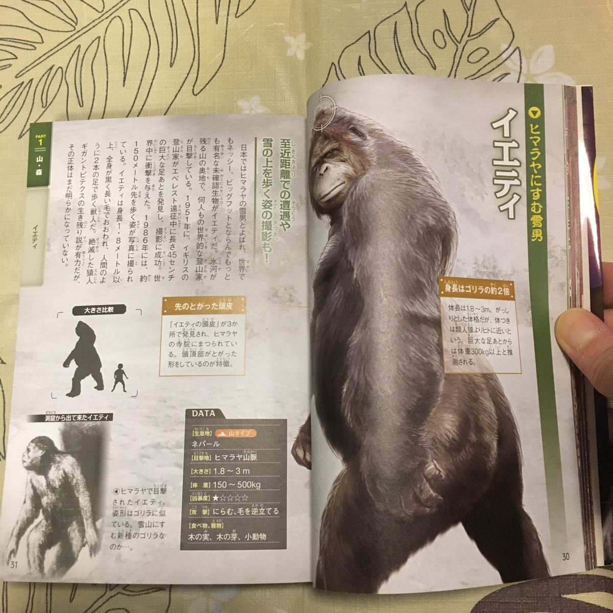 古本)UMA 未確認生物大図鑑|Yahoo!フリマ(旧PayPayフリマ) 古本)UMA 未確認生物大図鑑|Yahoo!フリマ(旧PayPayフリマ)