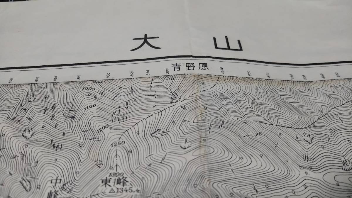 　大山　神奈川県　古地図 地図　資料　地形図　46×57cm　昭和4年測量　昭和30年印刷　書き込み　ヨゴレ　発行　B2214_画像1