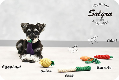  новый товар * домашнее животное игрушка *solgra* овощи трос * длина лук порей * домашнее животное игрушка * собака смешанные товары 