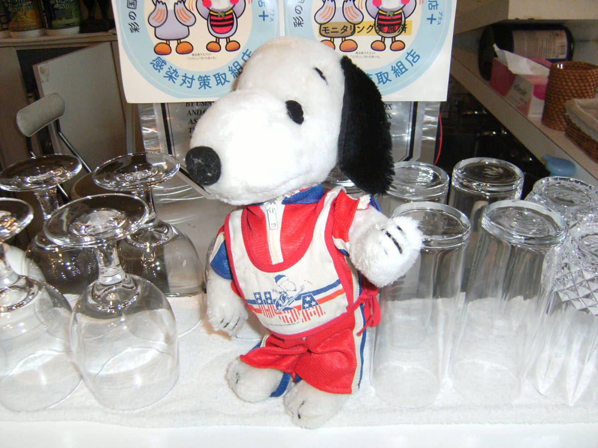 昭和レトロ★70年代★当時物 約28cm USA SKI TEAM オリンピック ユニフォーム スキー スヌーピー SNOOPY ぬいぐるみ 人形 キャラクター_画像1