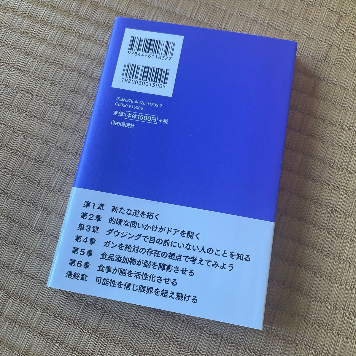 あなたを変えるダウジング　「見えない力」が限界を打ち破る 堀田忠弘／著