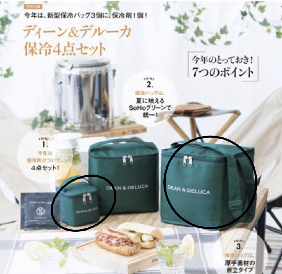 未使用☆DEANDELUCA /ディーンデルーカ☆保冷 バッグ 大 小 2点セット 付録 DEAN DELUCA 保冷バッグ 2点セット