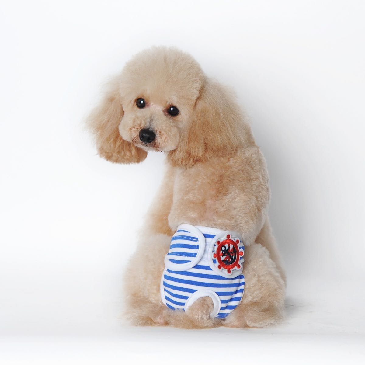 犬オムツ 犬用サニタリーパンツ 生理パンツ　3枚　生理期 パンツ 発情期　XXL