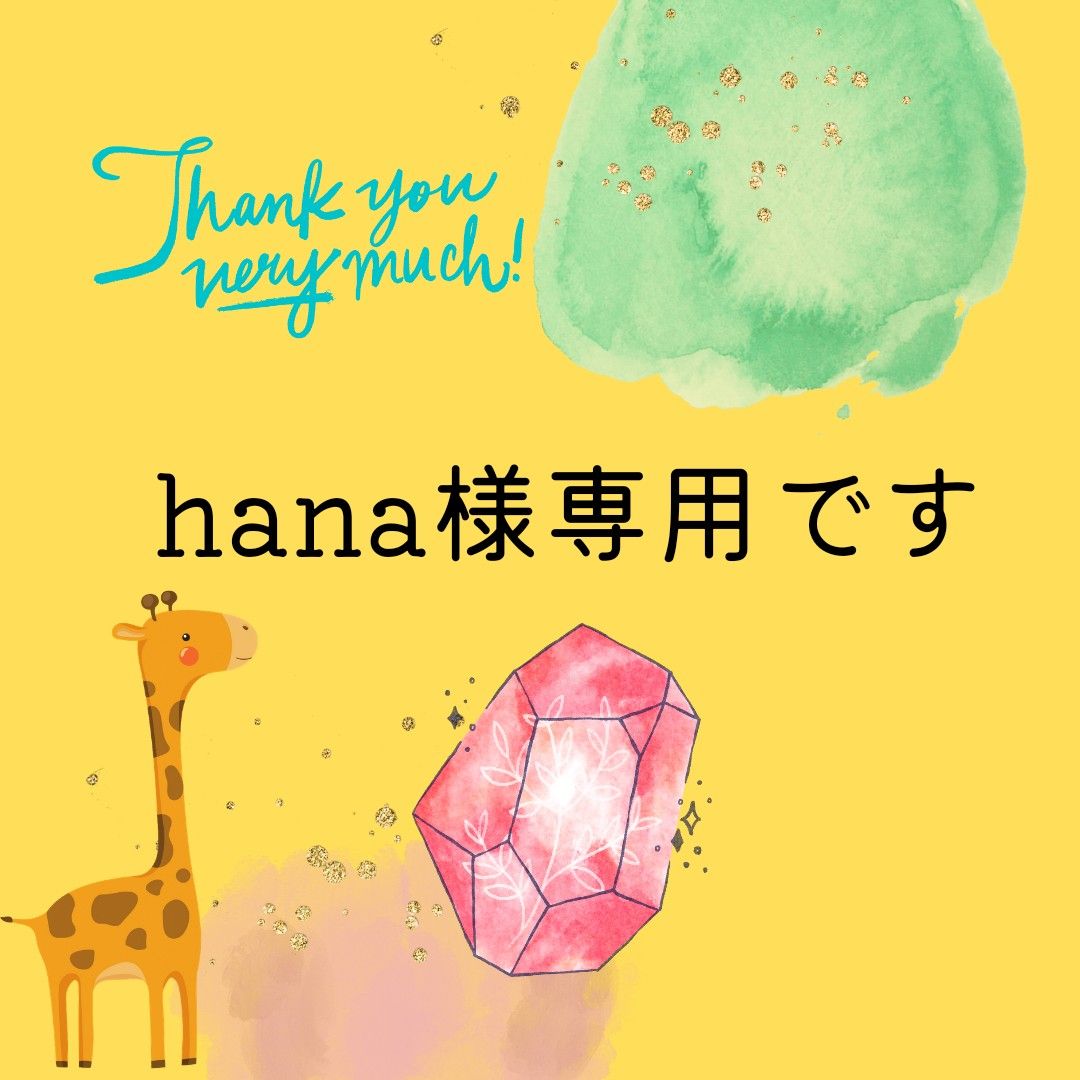 hana様専用です( 'ω' )｜Yahoo!フリマ（旧PayPayフリマ）