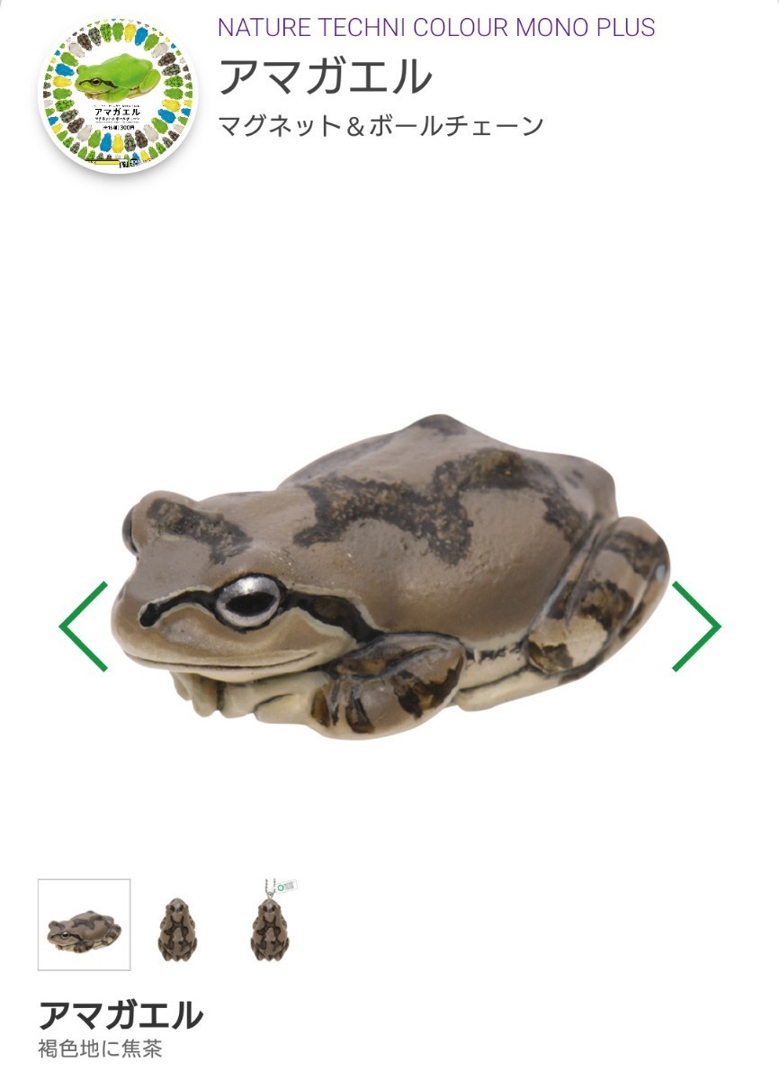 即決 アマガエル ニホンアマガエル 褐色地に焦茶 ボールチェーン ガチャ マグネット&ボールチェーン ネイチャーテクニカラー 即決 アマガエル ニホンアマガエル 褐色地に焦茶 ボールチェーン ガチャ マグネット&ボールチェーン ネイチャーテクニカラー