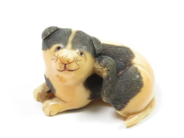5052】明治時代 堤物・印籠 海象 犬彫 根付(初品・買取品)-