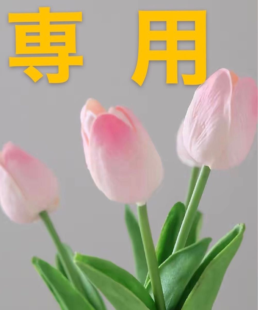はなchan様専用|PayPayフリマ
