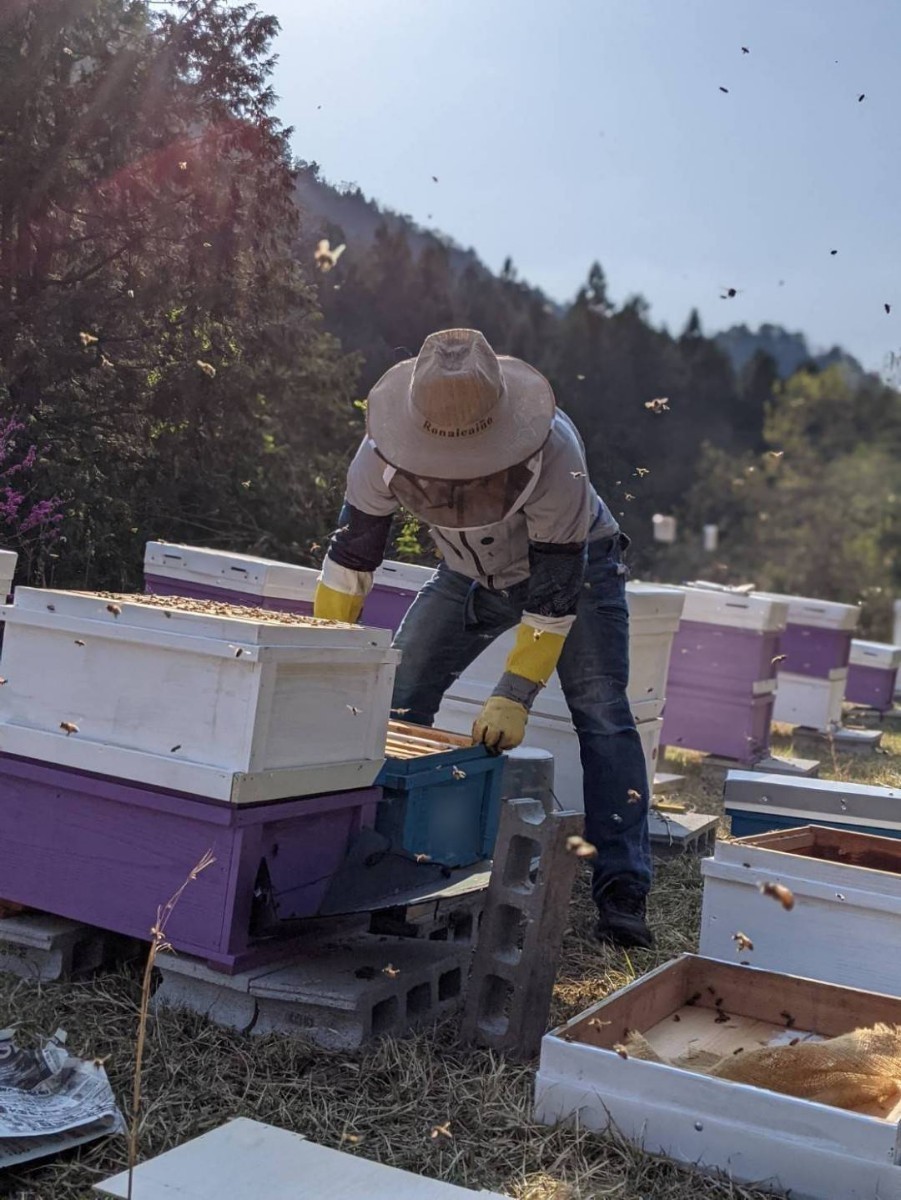年末年始大決算 桜の生はちみつ×2本 2023 4採蜜 新蜜 国産 蜂蜜