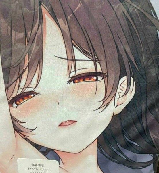 【断捨離中!新品未開封・正規品】花群薫乃 抱き枕カバー(てごねスパイク 煎路) 抱き枕カバー