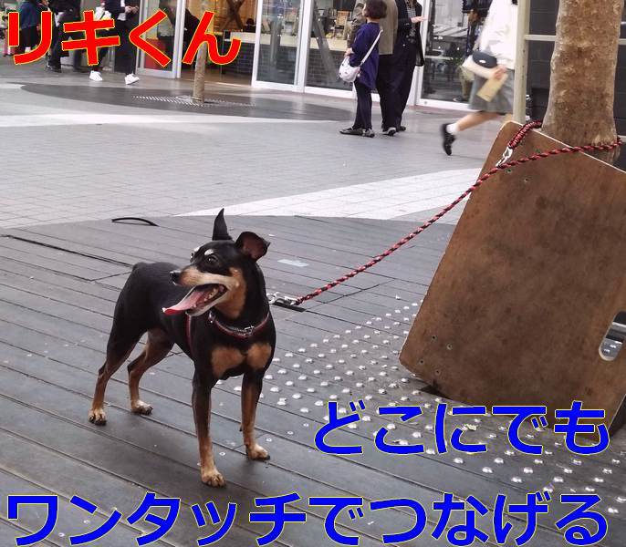 パラコード 犬のリード【レインボー】オーダーメイドリーシュどこでも簡単につなげる　ショートリードとしても使える　トレーニングしつけ_画像6