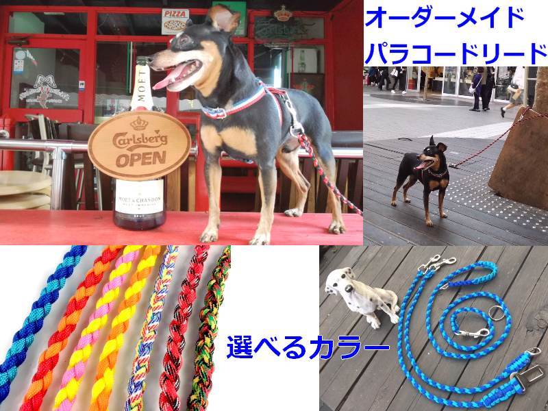pala code dog. Lead [ Rainbow ] custom-made Lee shu anywhere easily .... Short Lead as . possible to use training upbringing 