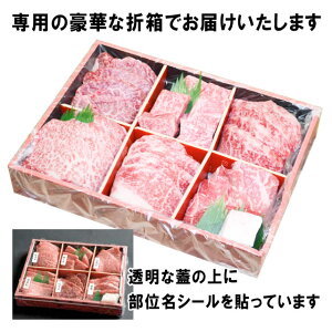 [ Kobe корова . роскошный .6 пункт .. yakiniku комплект .!] Kobe корова 6 пункт еда . сравнение yakiniku 600g(3~4 порции )