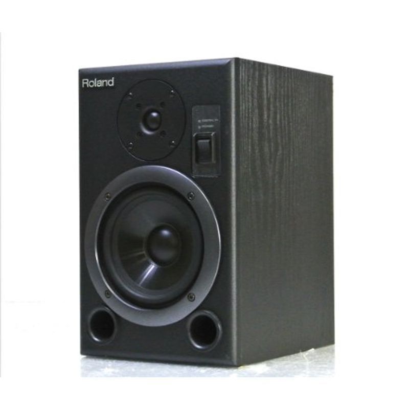 ローランド DS-5 パワードモニタースピーカー S/P DIF&AES/EBU入力