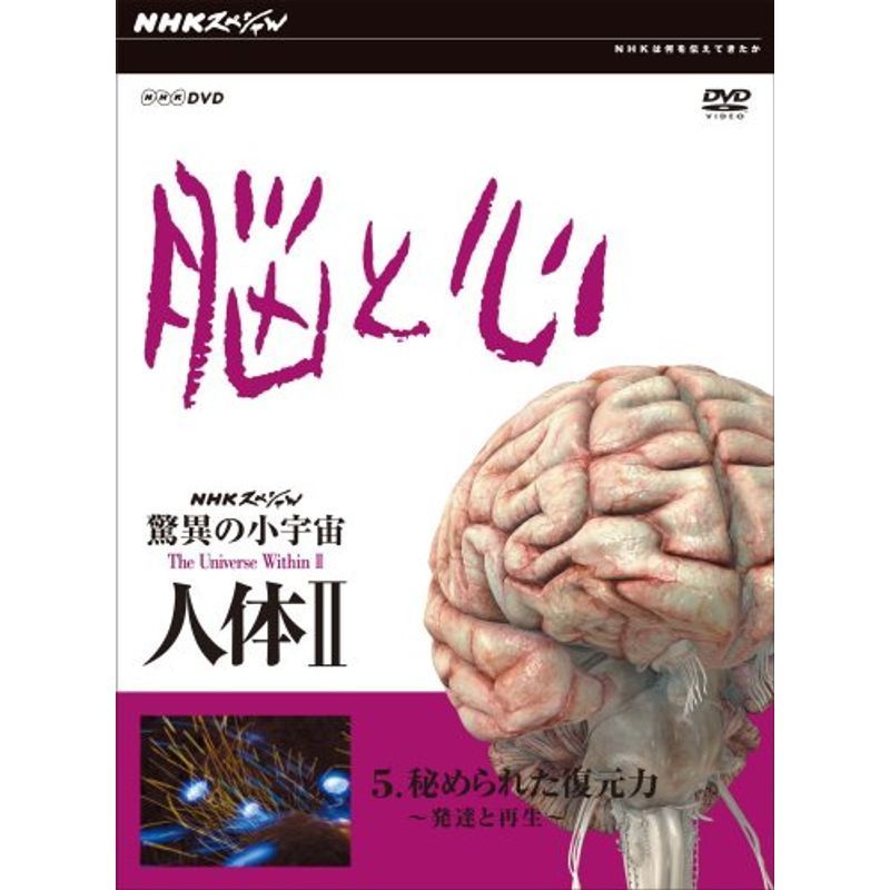 NHKスペシャル 驚異の小宇宙 人体II 脳と心 第5集 秘められた復元力