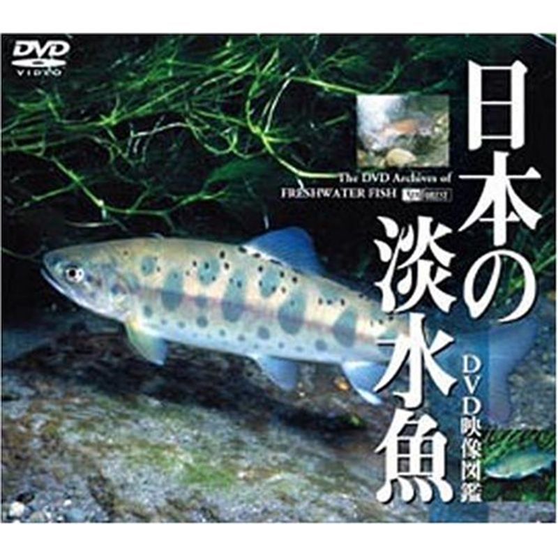 シンフォレストDVD 日本の淡水魚 DVD映像図鑑_画像1