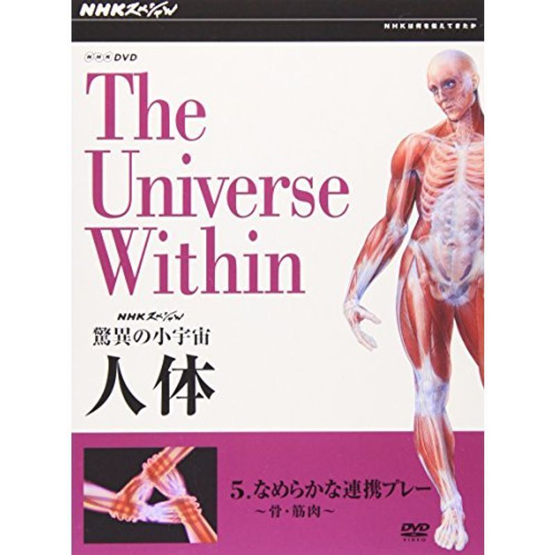 NHKスペシャル 驚異の小宇宙 人体 Vol.5「なめらかな連携プレー~骨・筋肉~」 DVD_画像1