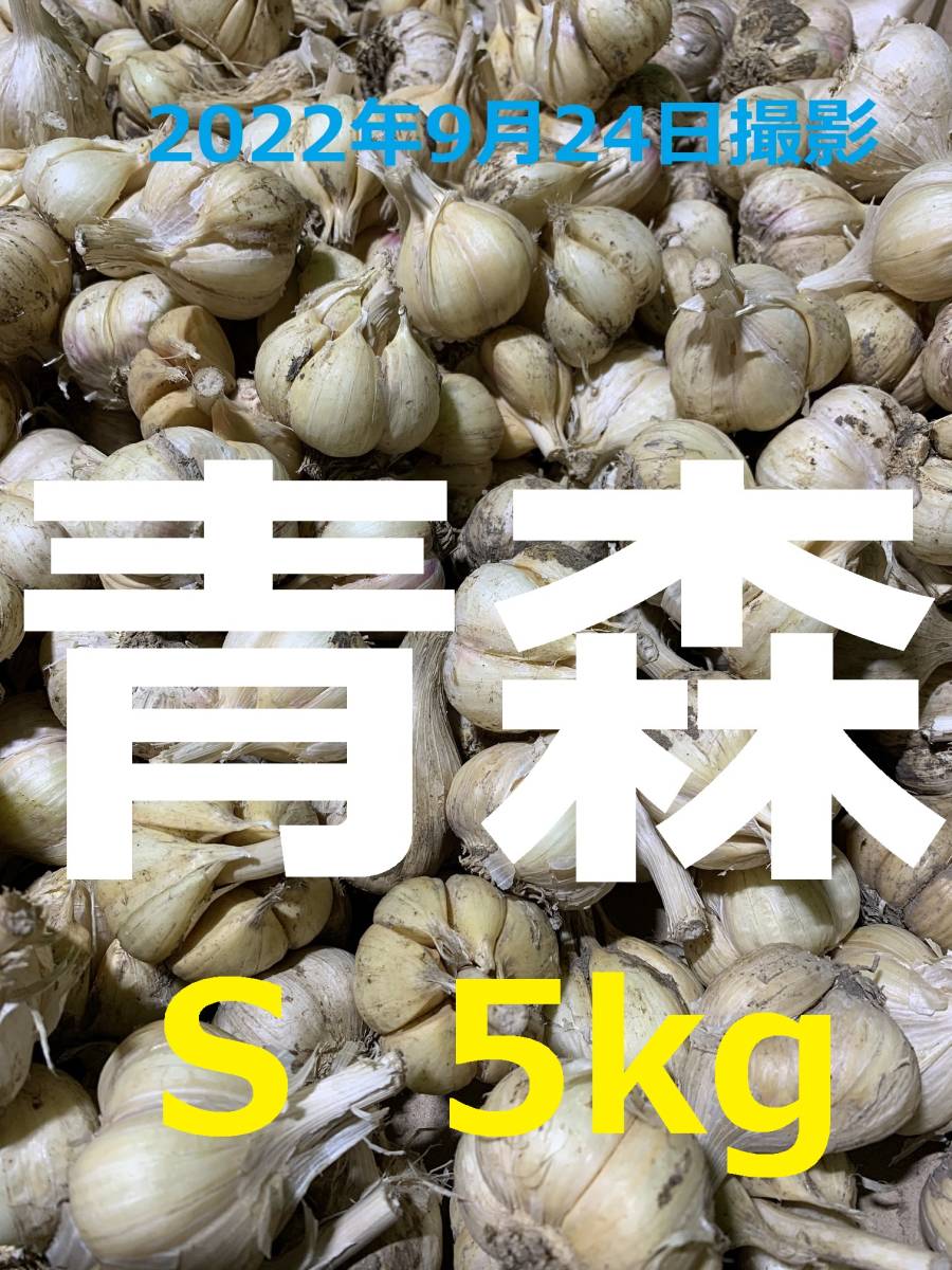 初売りセール) 低農薬 福地ホワイト6片(05-22収穫物) - poumonquebec.ca