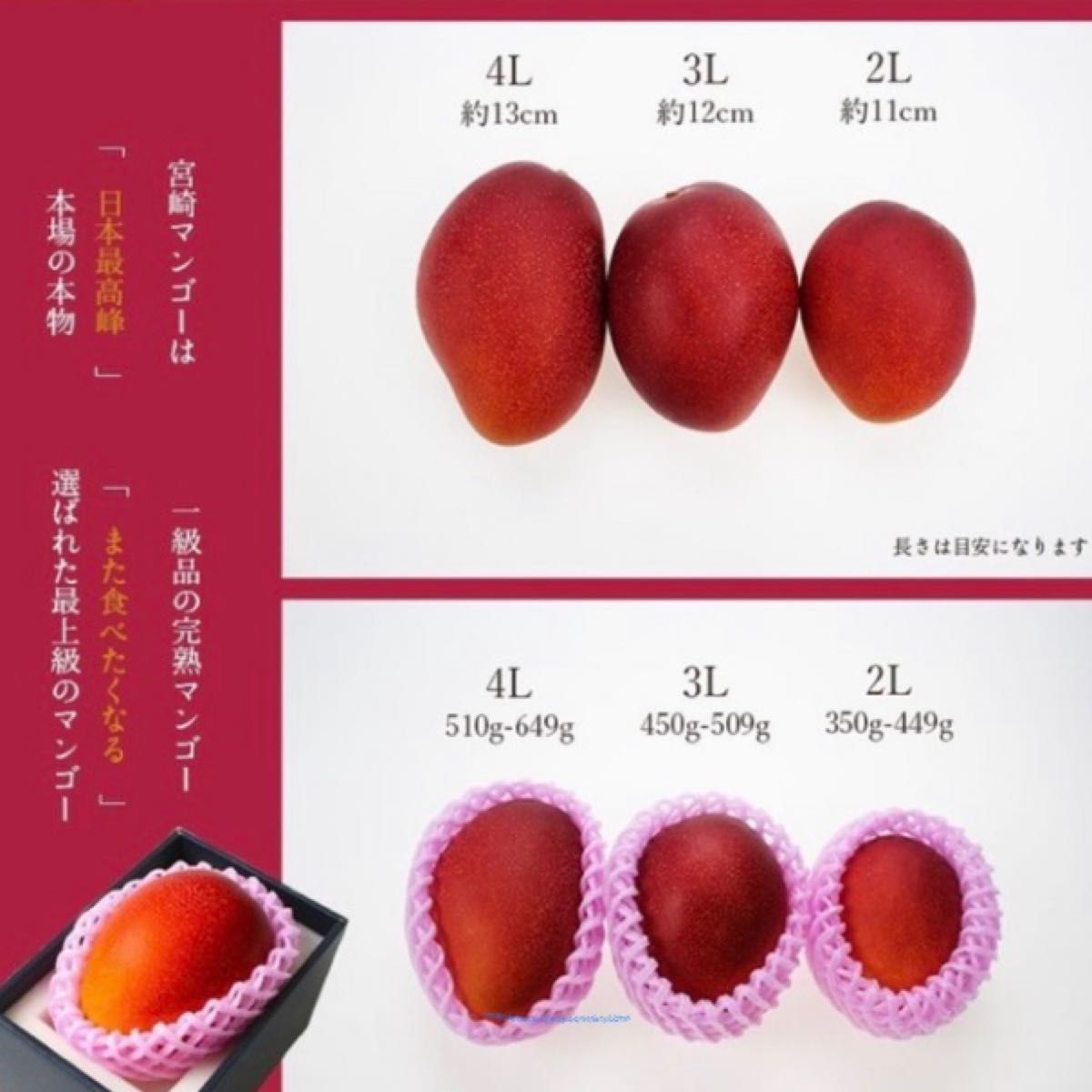 メーカー直売】 宮崎県産完熟マンゴー4L2玉 大玉サイズ