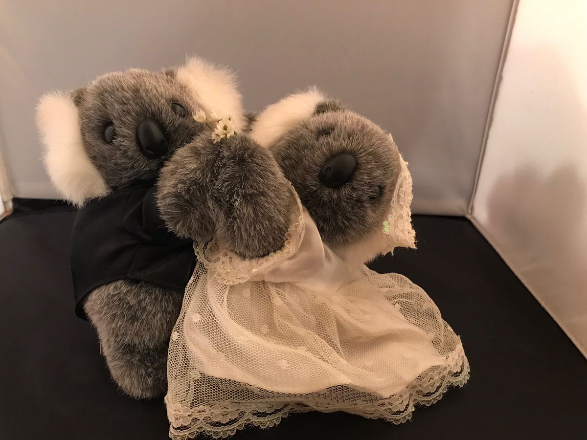  Australia made * koala soft toy wedding 