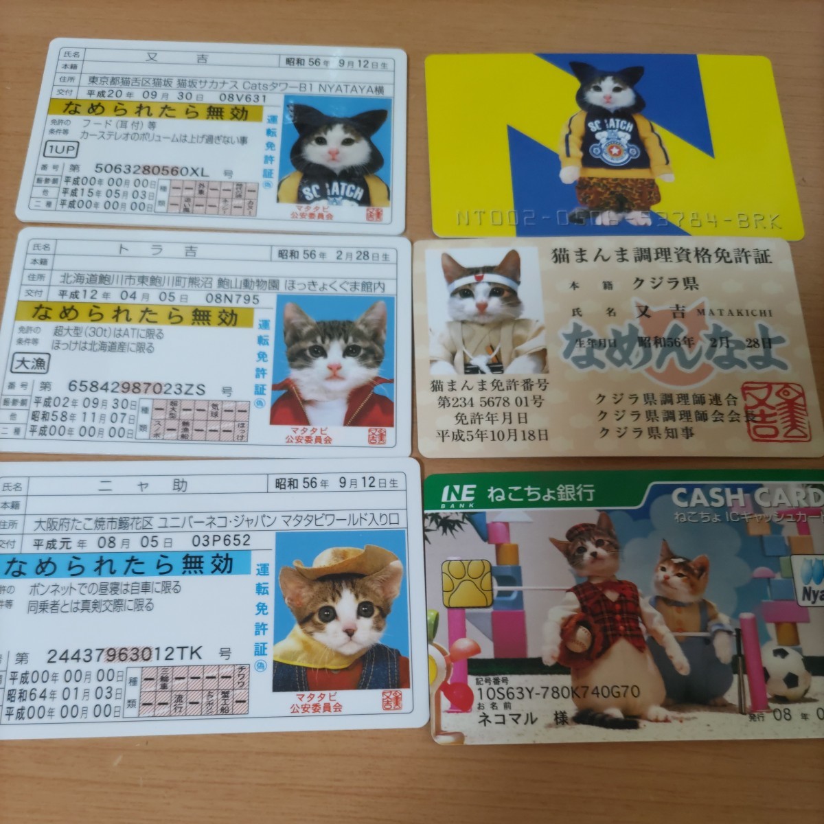 なめ猫 なめ猫免許証 なめんなよ 免許証 カードコレクション 未使用