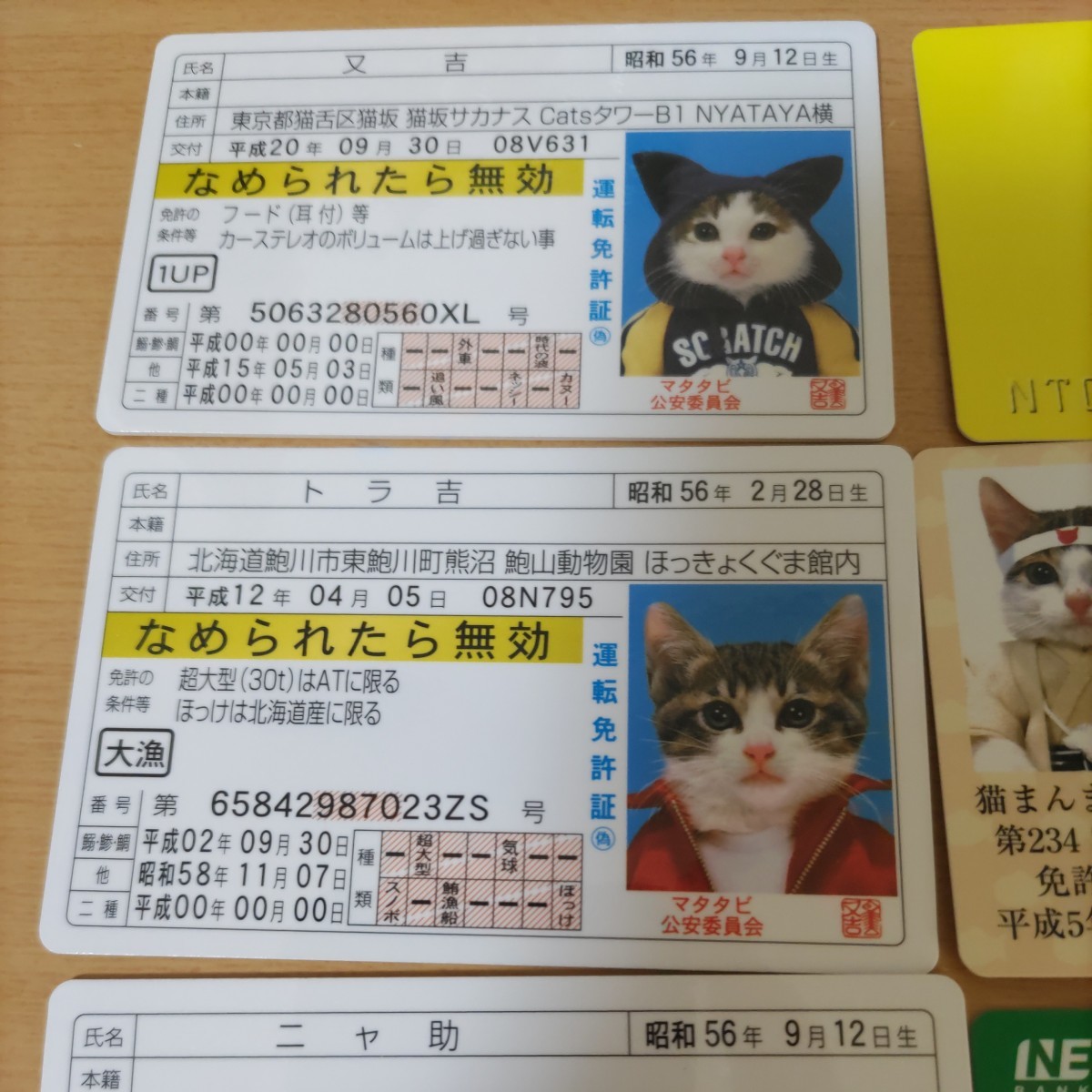 なめ猫 なめ猫免許証 なめんなよ 免許証 カードコレクション 未使用