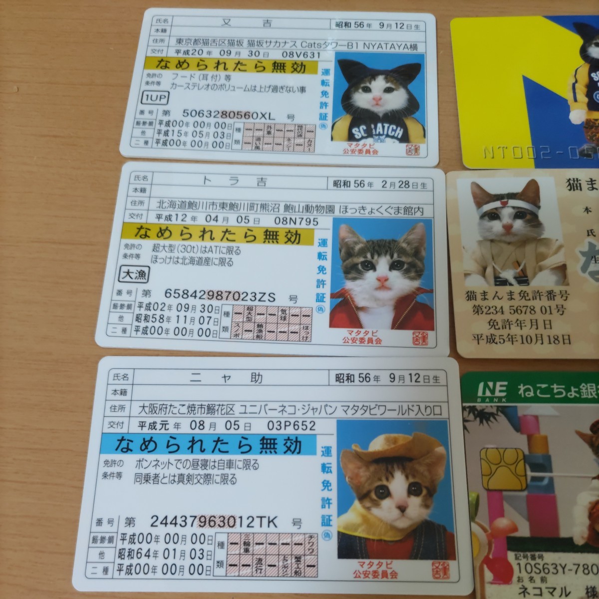 なめ猫 なめ猫免許証 なめんなよ 免許証 カードコレクション 未使用