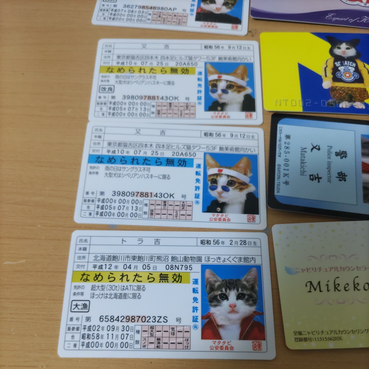 なめ猫 なめ猫免許証 なめんなよ カードコレクション 未使用 三毛猫 昔