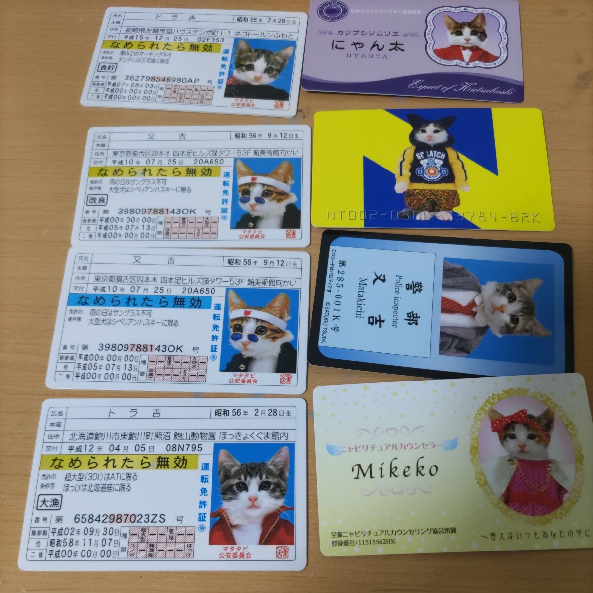 なめ猫 なめ猫免許証 なめんなよ カードコレクション 未使用 三毛猫 昔
