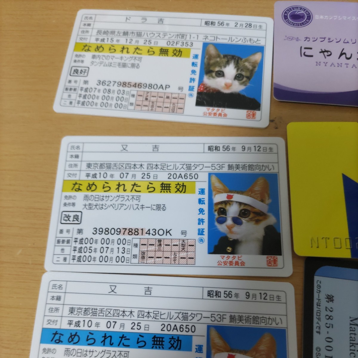 なめ猫 なめ猫免許証 なめんなよ カードコレクション 未使用 三毛猫 昔