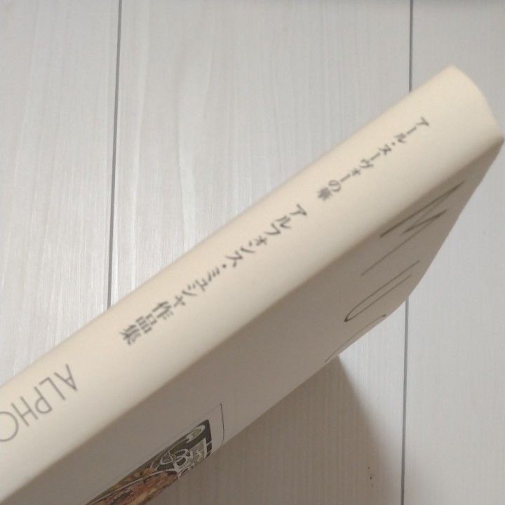 アルフォンス・ミュシャ作品集　アール・ヌーヴォーの華　新装版 アルフォンス・ミュシャ画　島田紀夫　ヴラスタ・チハーコヴァー・能城