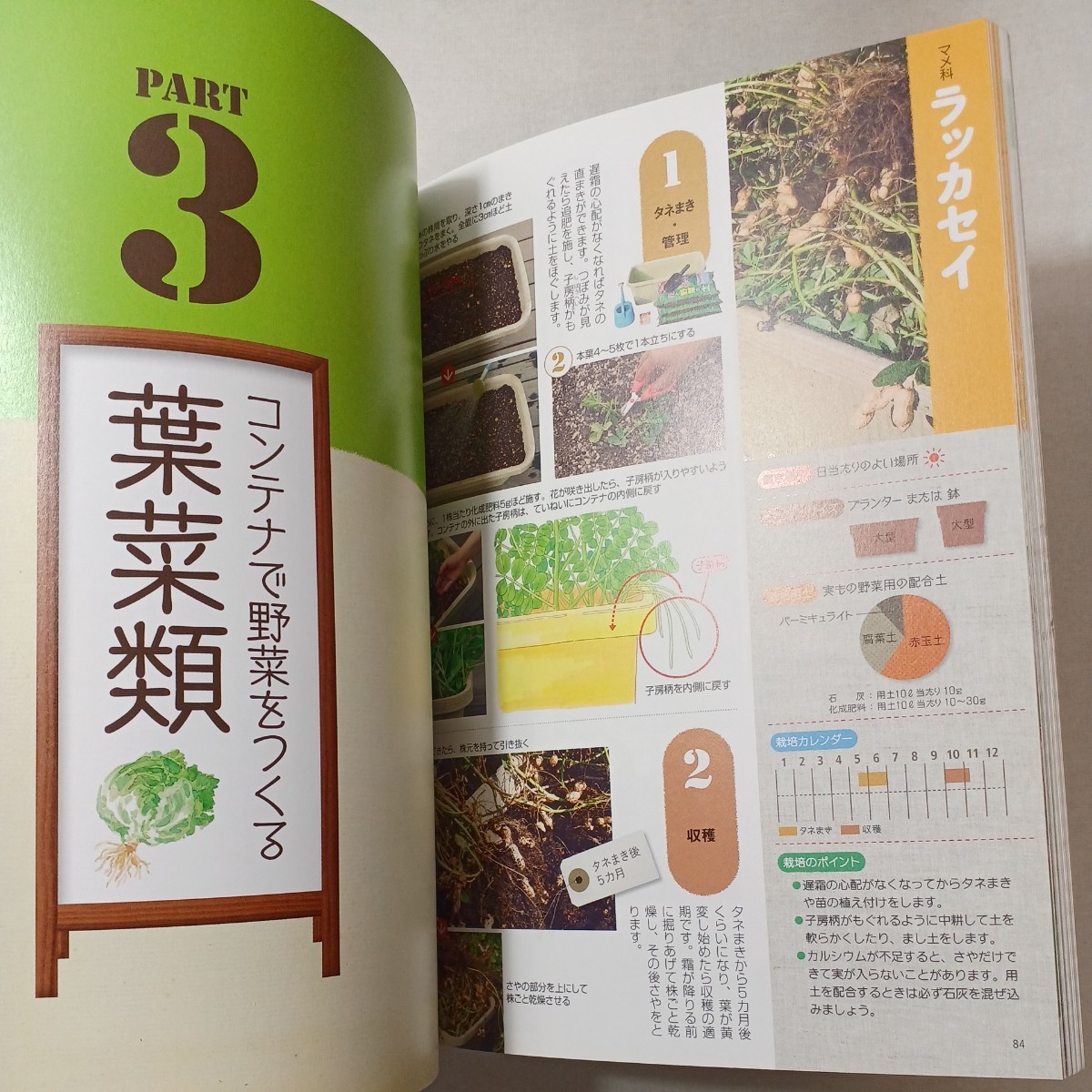 zaa-450! one annual possible to enjoy container vegetable ... gold rice field first generation [ work ]/ gold rice field . one .[ photograph ] west higashi company (2011/05 sale )