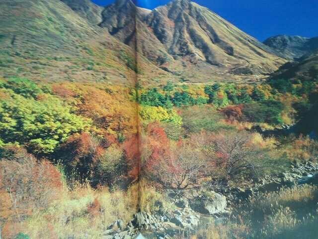 絶版◆◆日本の大自然2阿蘇くじゅう国立公園◆◆熊本県 大分県☆阿蘇山 仙酔峡ミヤマキリシマ南阿蘇 久住高原 九重連山 黒岳 由布院盆地 他