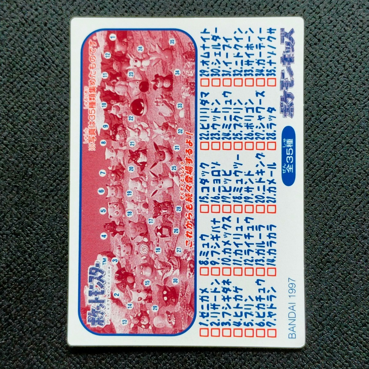 Bibian 比比昂- 1995年初期ナッシーポケモンキッズカード Bibian 比比昂- 1995年初期ナッシーポケモンキッズカード