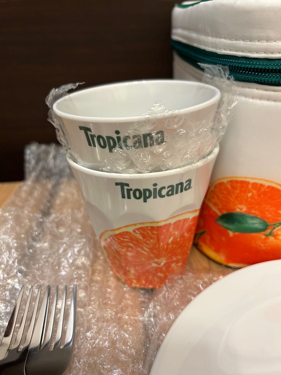 トロピカーナ　ピクニックセット　Tropicana 食器　アウトドア　カップル