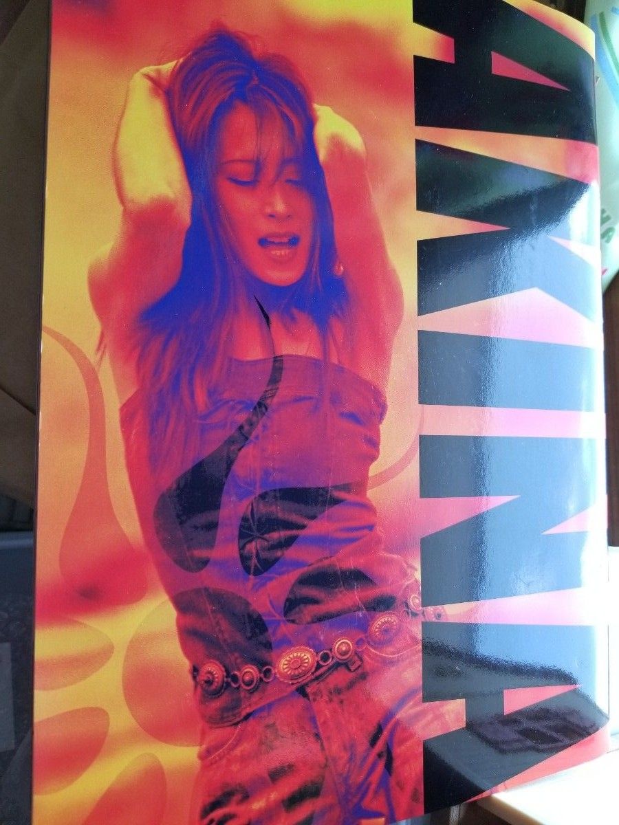 中森明菜 パンフレット ショッパー musicafiesta 2002 グッズ
