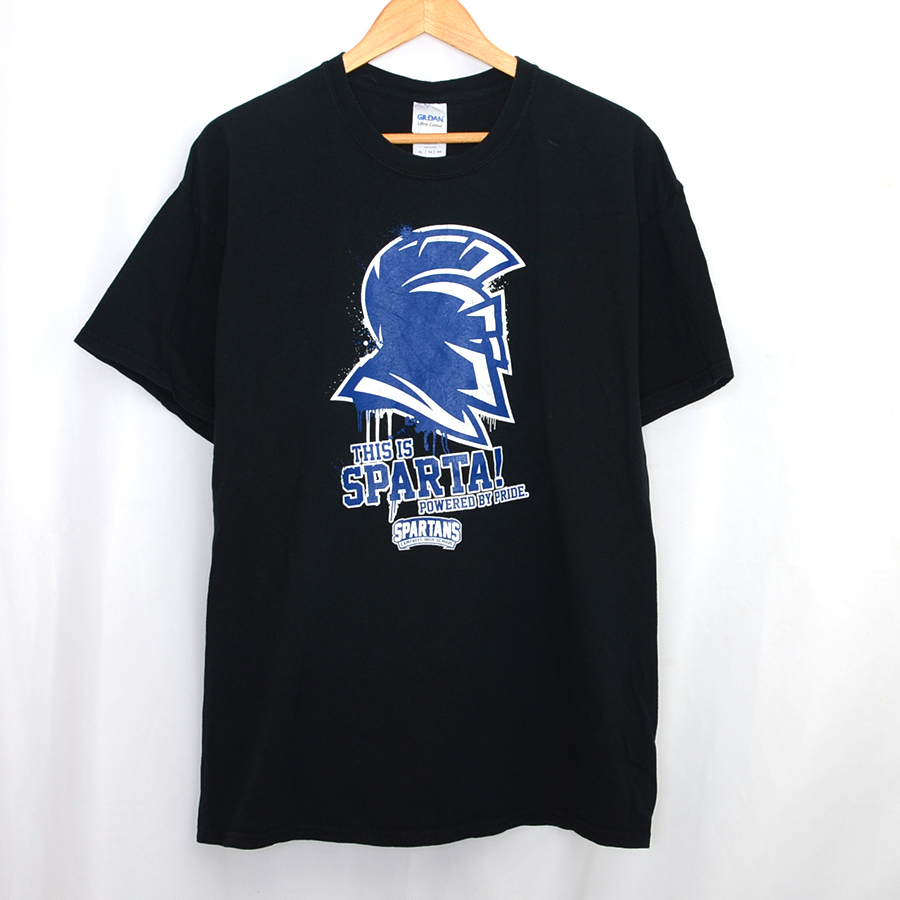 ST3206 スパルタンズ SPARTANS ミシガン Tシャツ M 肩46 ギルダン GILDAN メール便可 xq_画像2