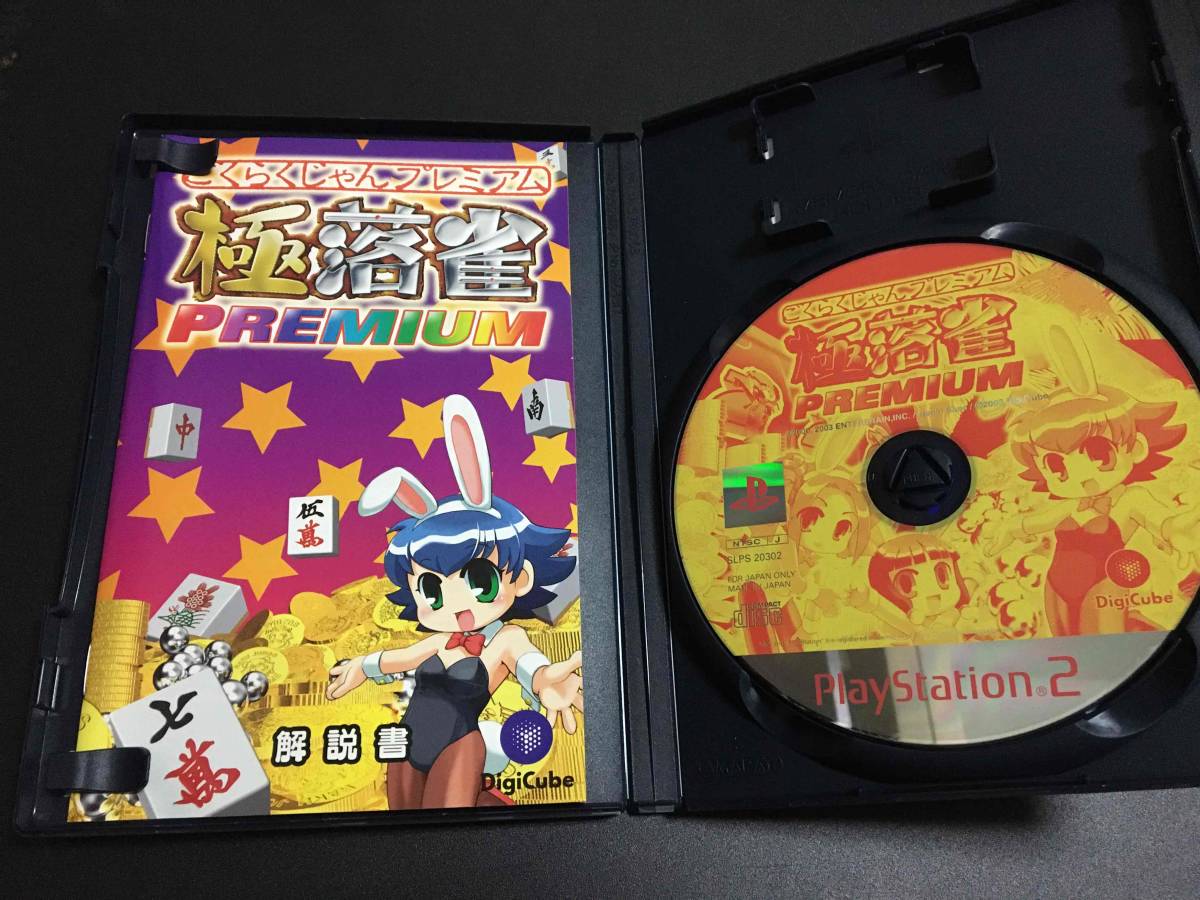 超美品の 極落雀 PREMIUM PS2ソフト 落雀 中古 klin.com.co