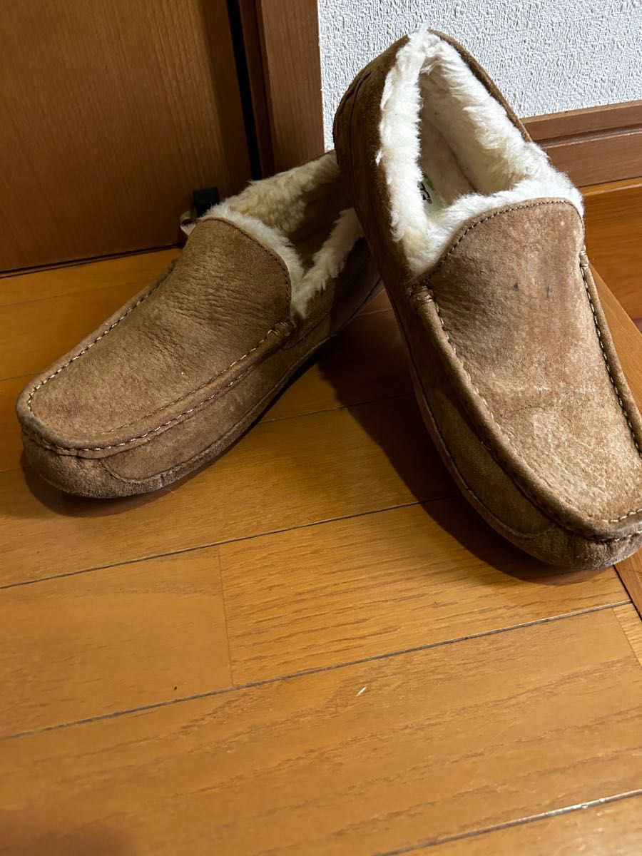 UGG Ascot