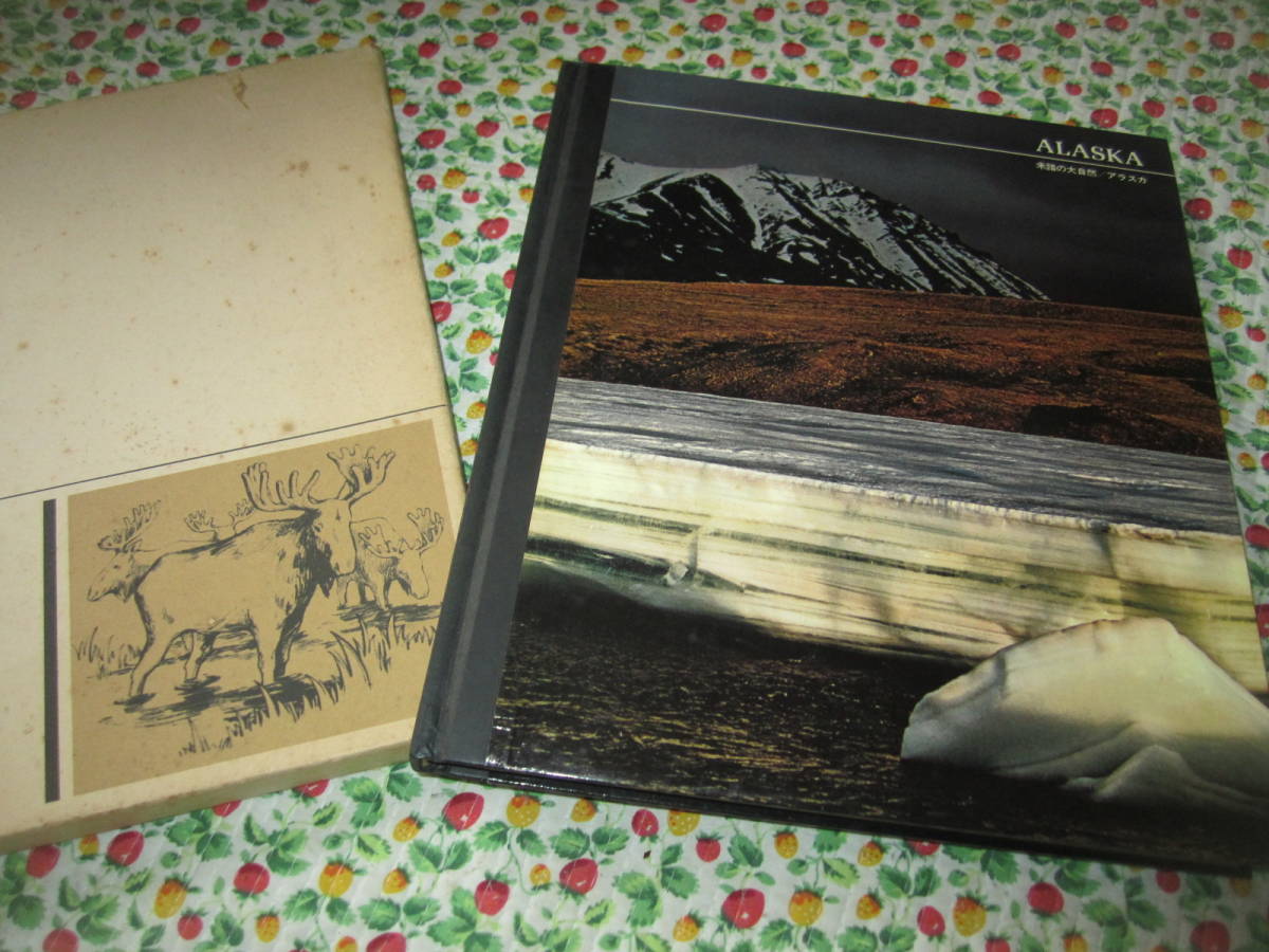 1975 TIME LIFE BOOKS アラスカ 未踏の大自然　デイル・ブラウン 著_画像1