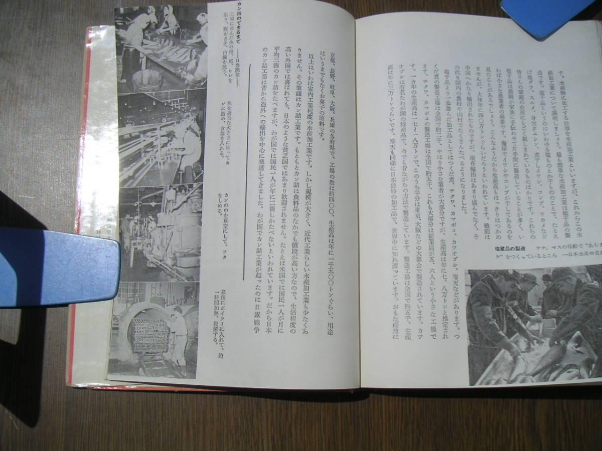 ∞　水産の話　産業双書１０　中西永年、著　岩崎書店、刊　１９５８年発行_画像9
