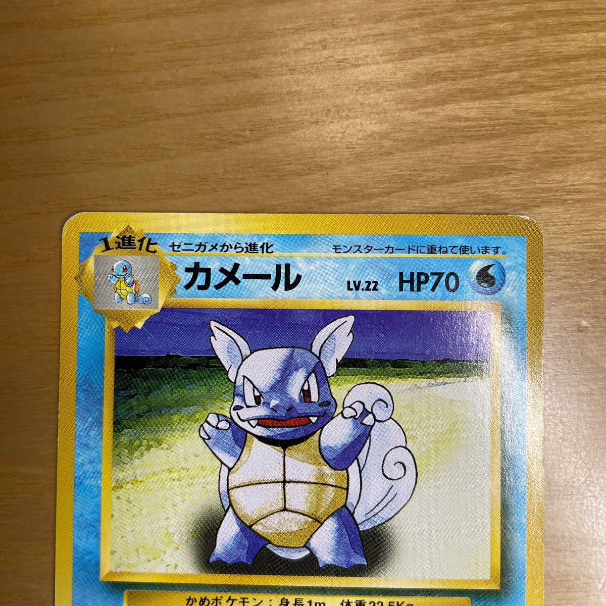 旧裏 マークなし】 ポケモンカード ゼニガメ・カメール 旧裏面 旧裏 マークなし】 ポケモンカード ゼニガメ・カメール 旧裏面
